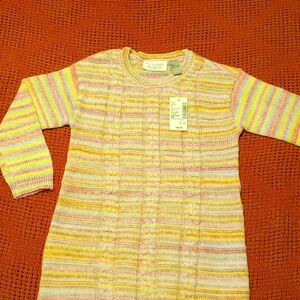Toddler Sweater dress NWT size 3T